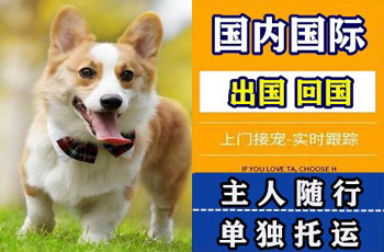 玉树州宠物托运公司玉树州宠物托运公司玉树州宠物托运公司