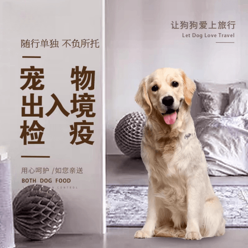 玉树州宠物托运到哥伦比亚猫狗宠物入境规定和