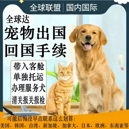 玉树州宠物托运到柬埔寨宠物入境规定和要求