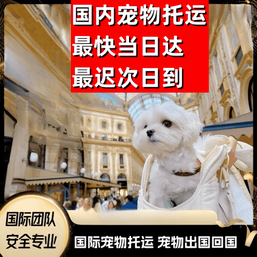 玉树州到澳大利亚（澳洲）宠物入境规定和要求