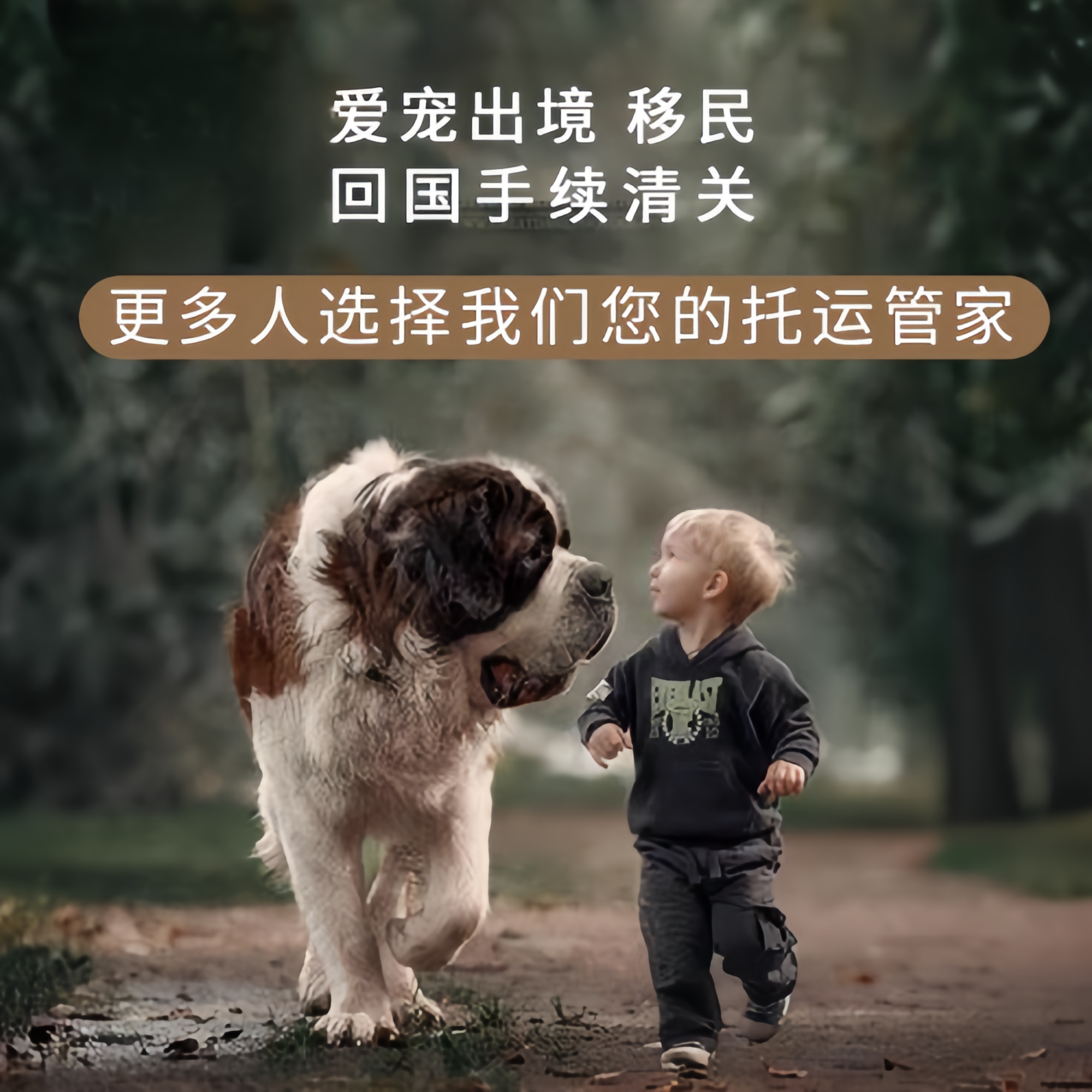 满财玉树州宠物全球达宠物托运在遵守入境目的地政策的条件