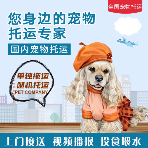 满财玉树州宠物全球达宠物托运作为专业的宠物运输代理机构